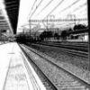 Guillem Roma