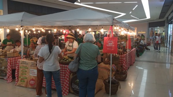 Mercado Sostenible