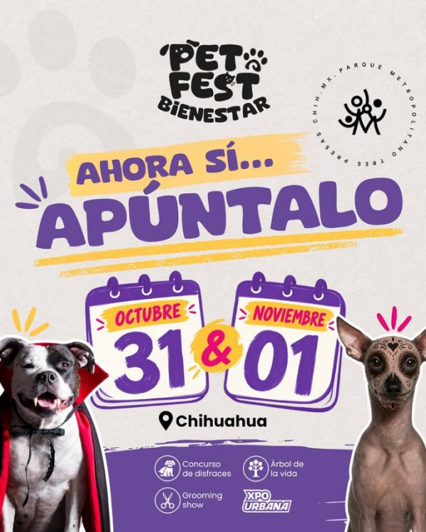 PETFEST