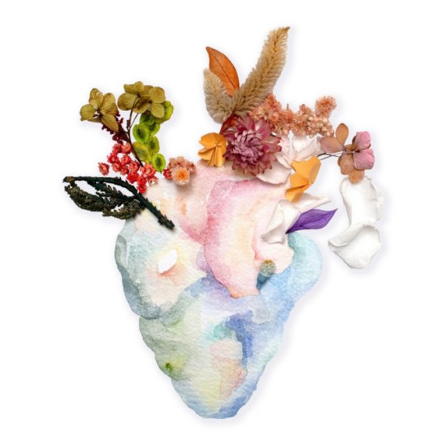 Andrea Labrave entrevista Mirada verano