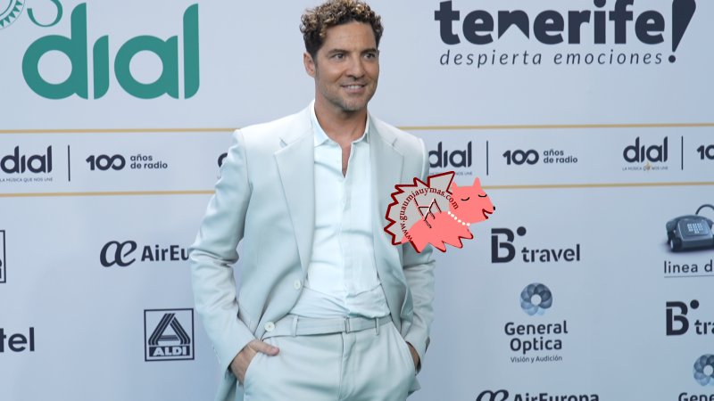 David Bisbal