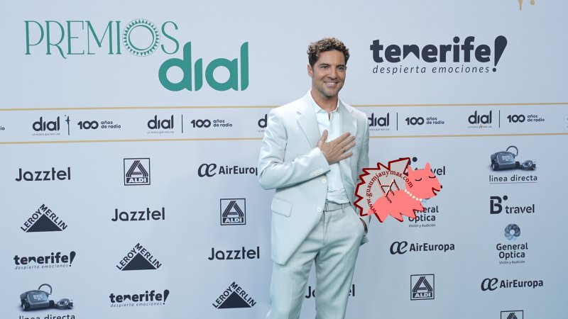 David Bisbal