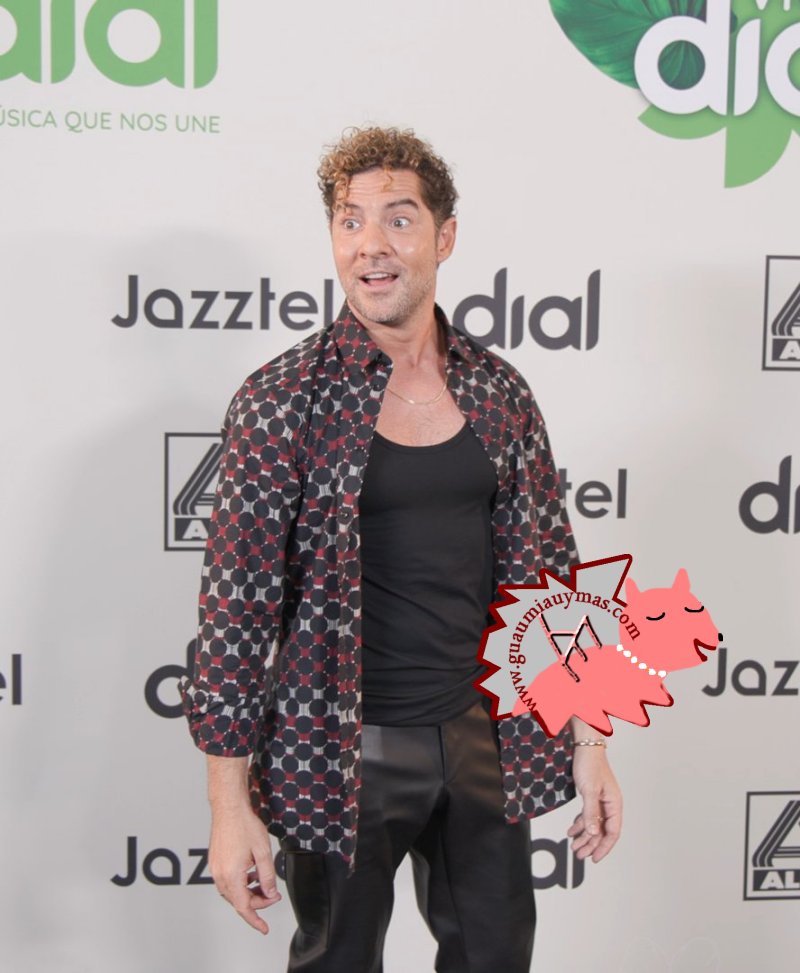David Bisbal