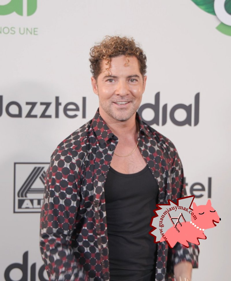 David Bisbal