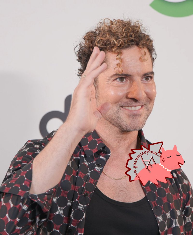 David Bisbal