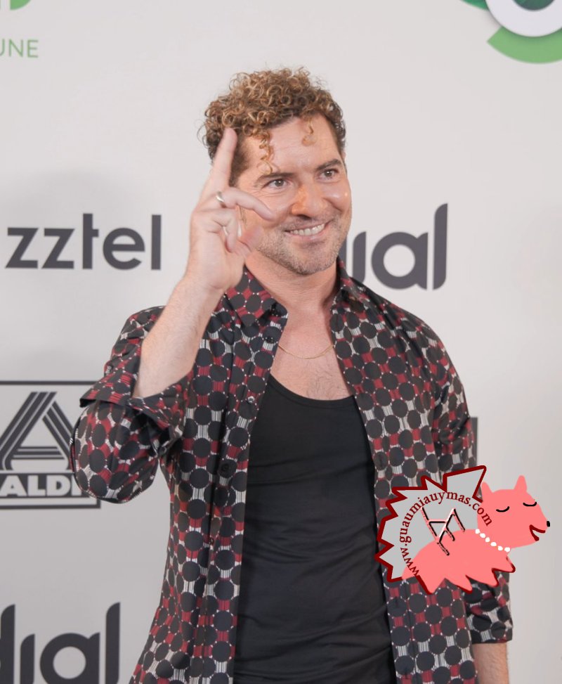 David Bisbal
