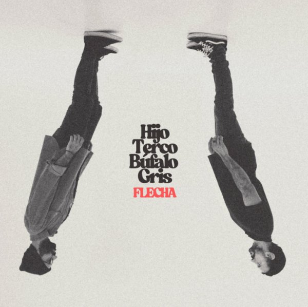 Hijo Terco Bufalo Gris Portada