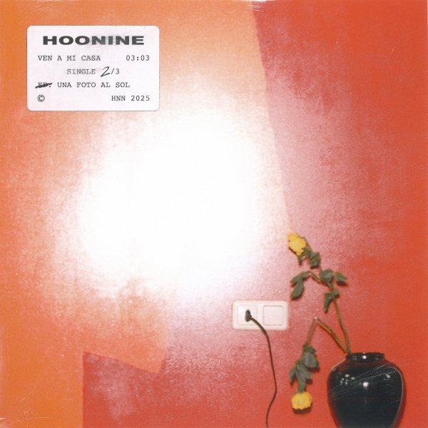 Hoonine