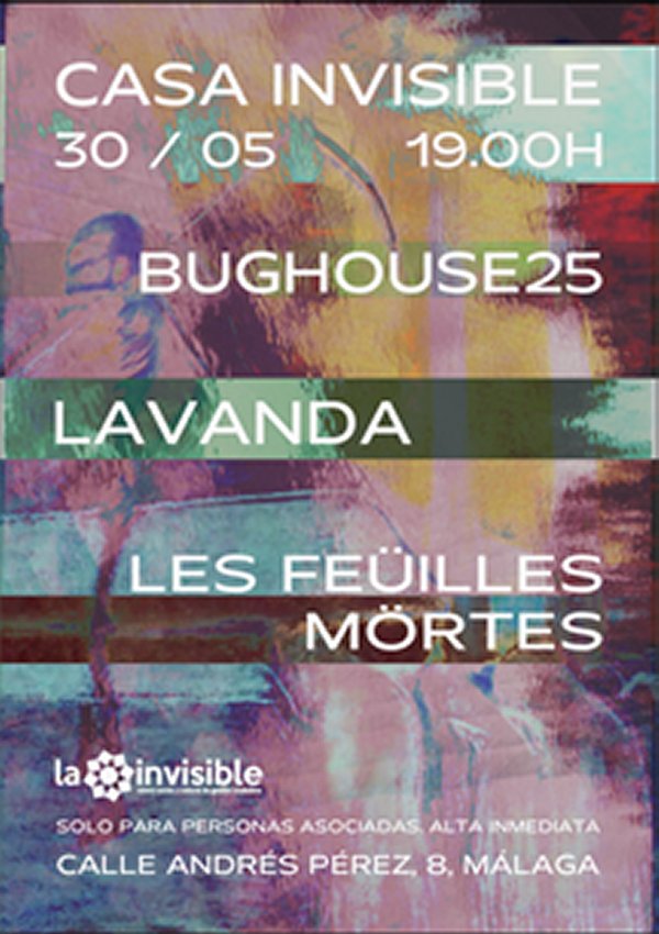 Lavanda