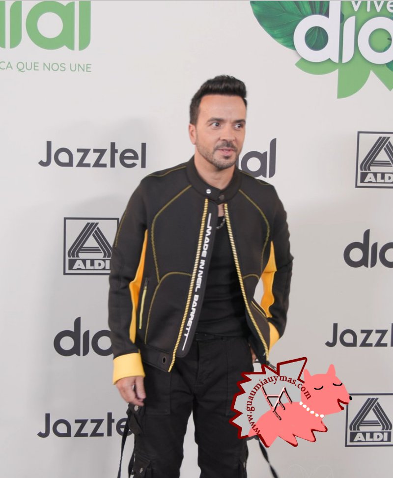 Luis Fonsi