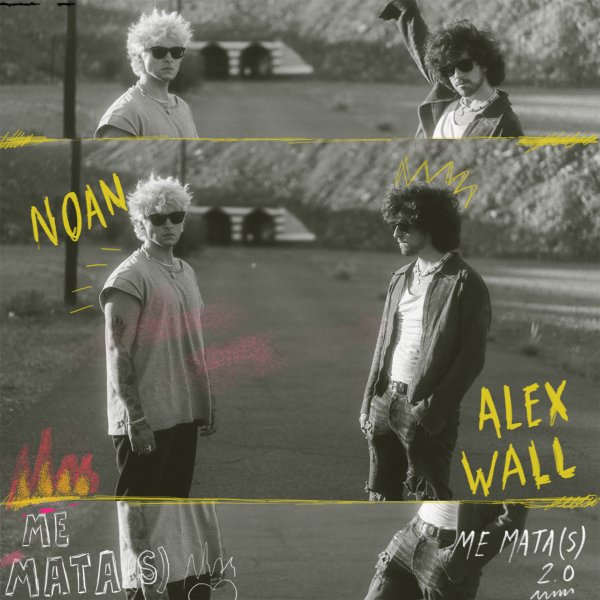 Alex Wall