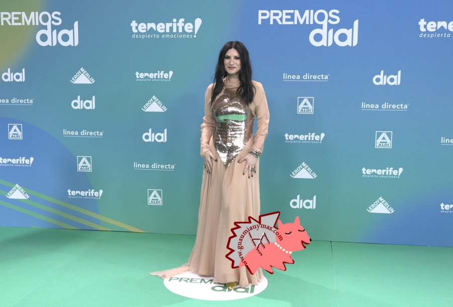 Premios Dial 2026 Tenerife Photocall