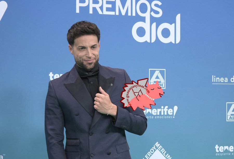 Premios Dial 2026 Tenerife Photocall