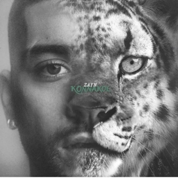 ZAYN